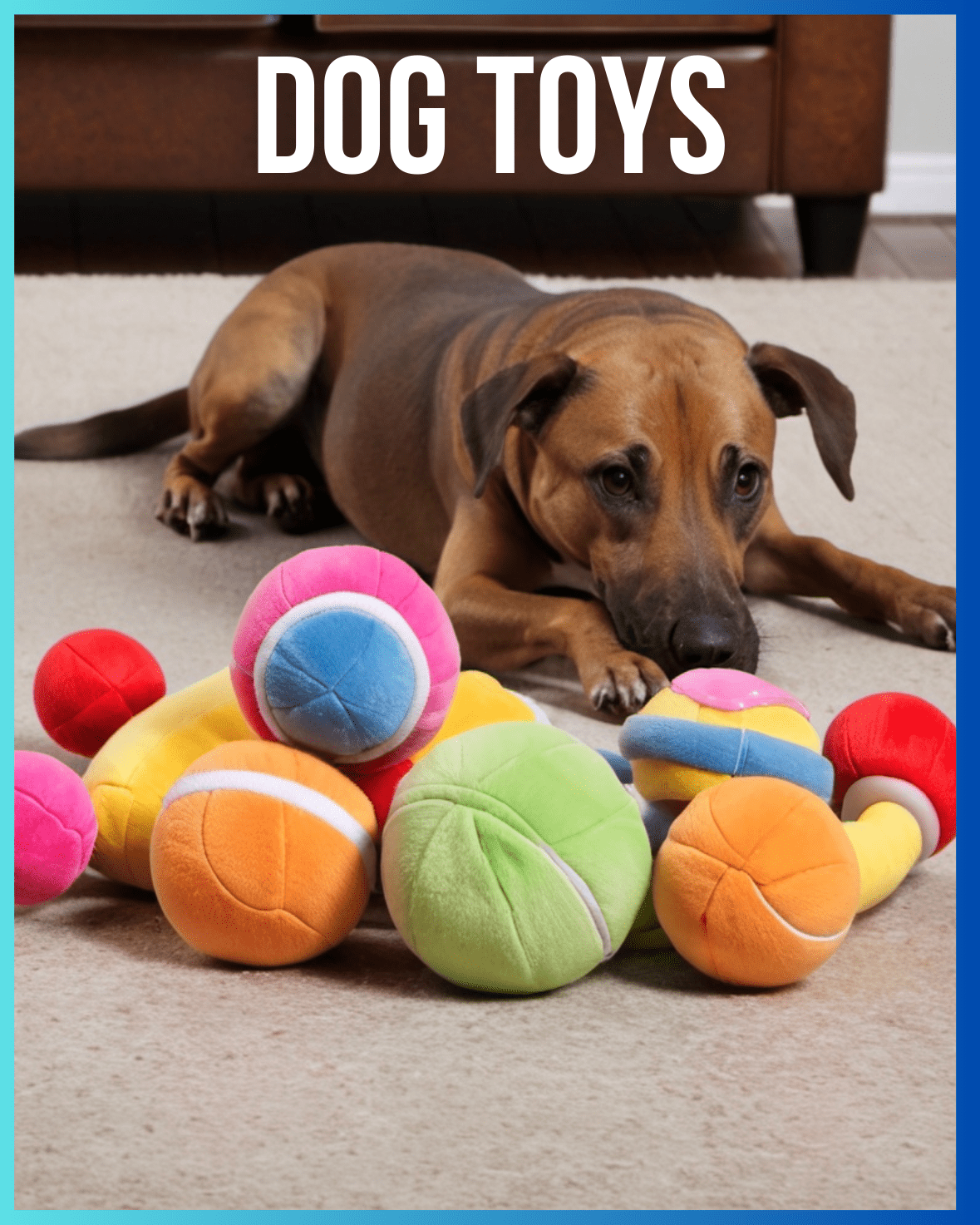 Dog Toys