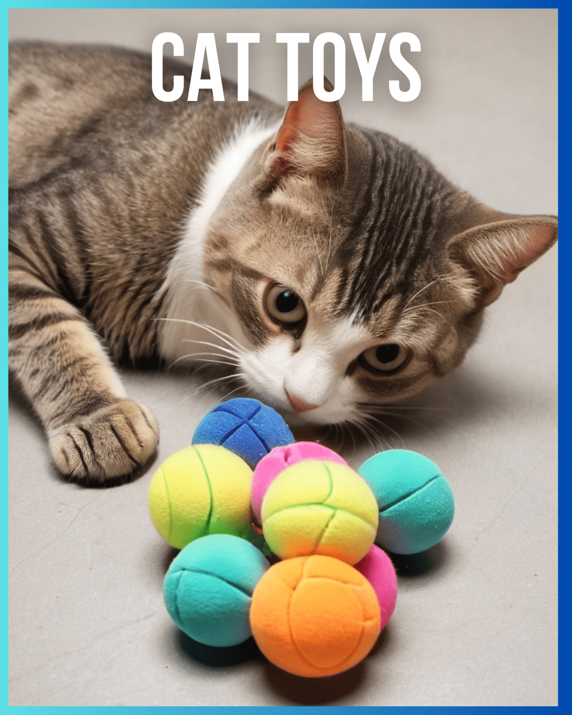 Cat Toys