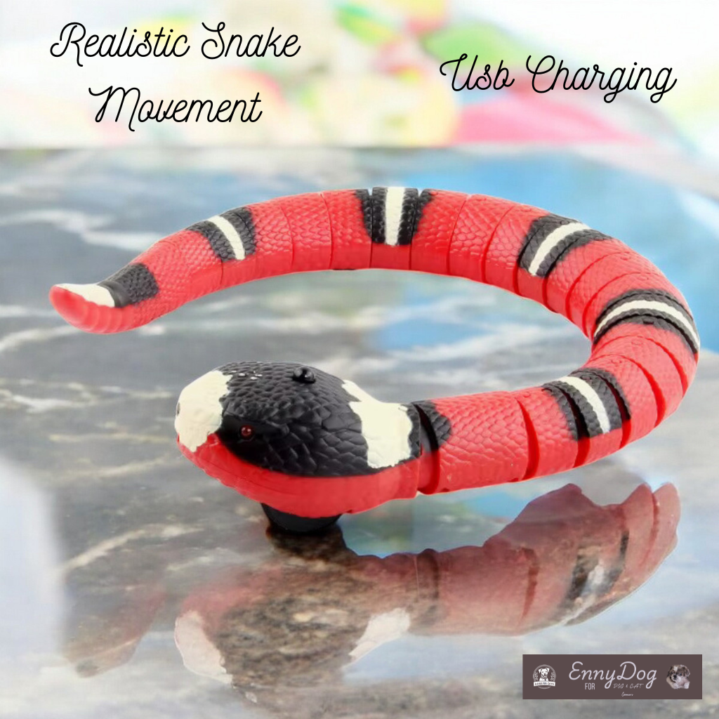 Smart Snake Toy