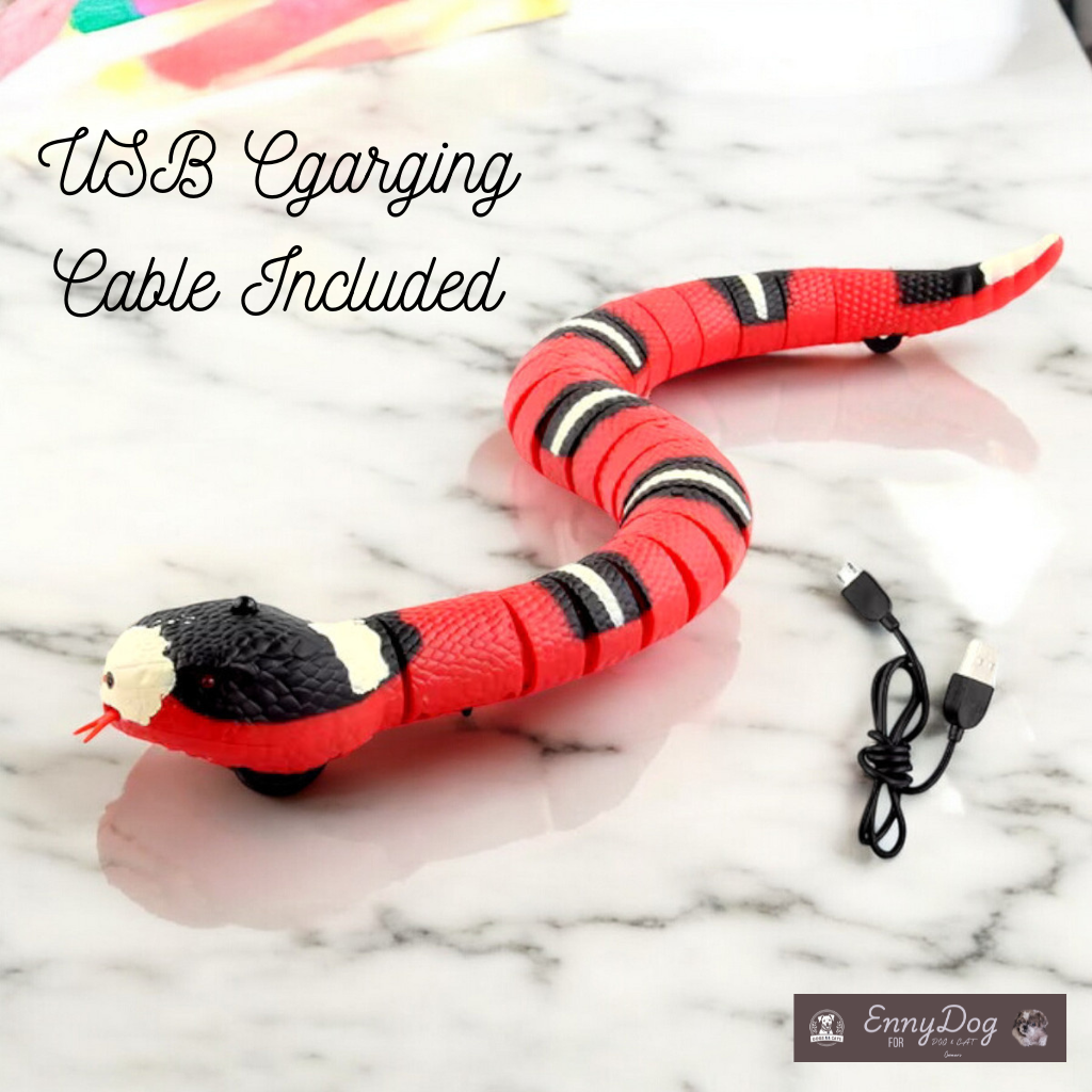 Smart Snake Toy