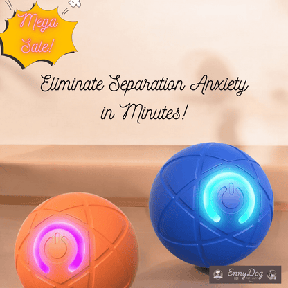 Enny Ball AI - Interactive Separation Anxiety Relief