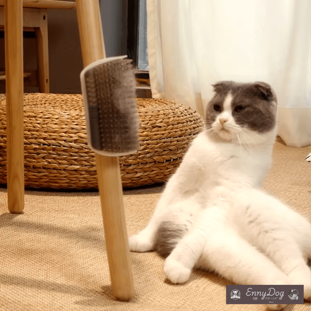 Cat Self Brush