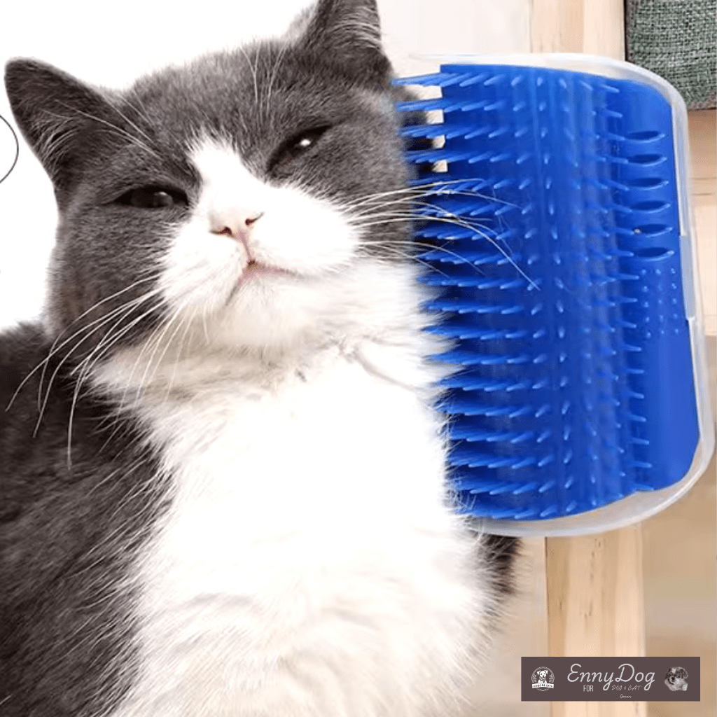 Cat Self Brush