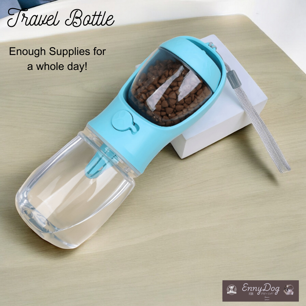 Portable Water Bottle