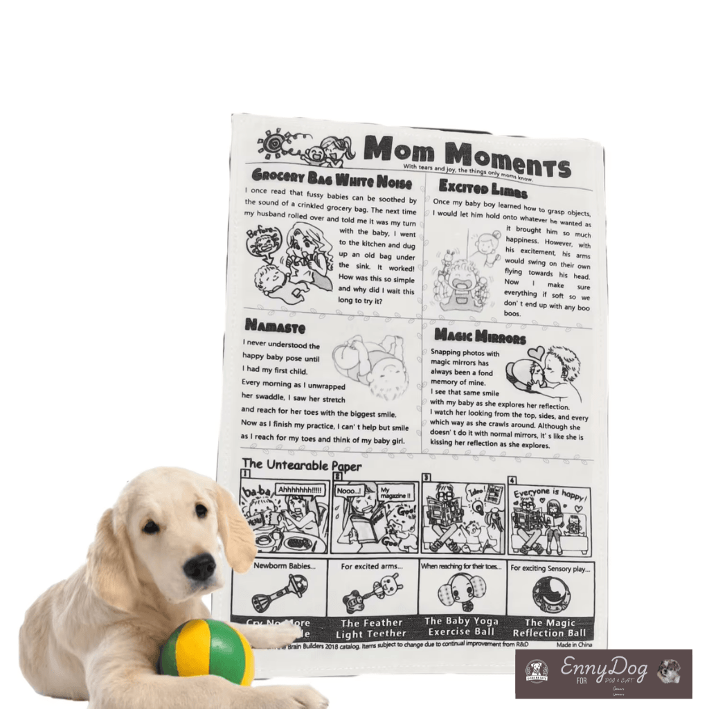 Newspaper Dog toy - Bite Resistant