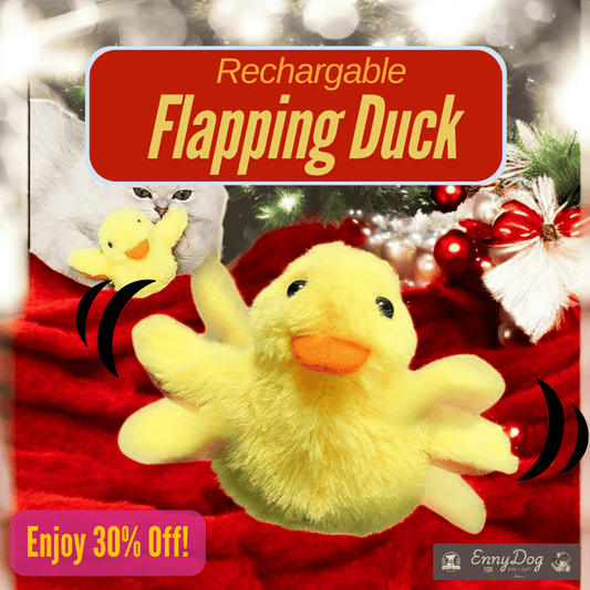 Flapping Duck Toy - No more Anxiety!